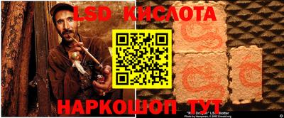 прущие грибы Можга