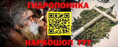 прущие грибы Можга