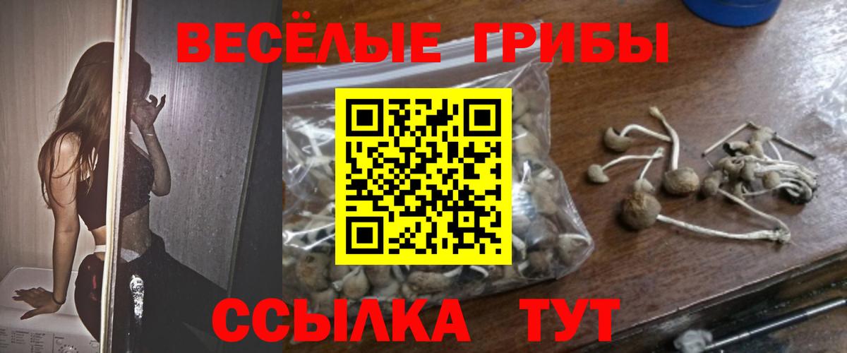 Кодеин Липецк