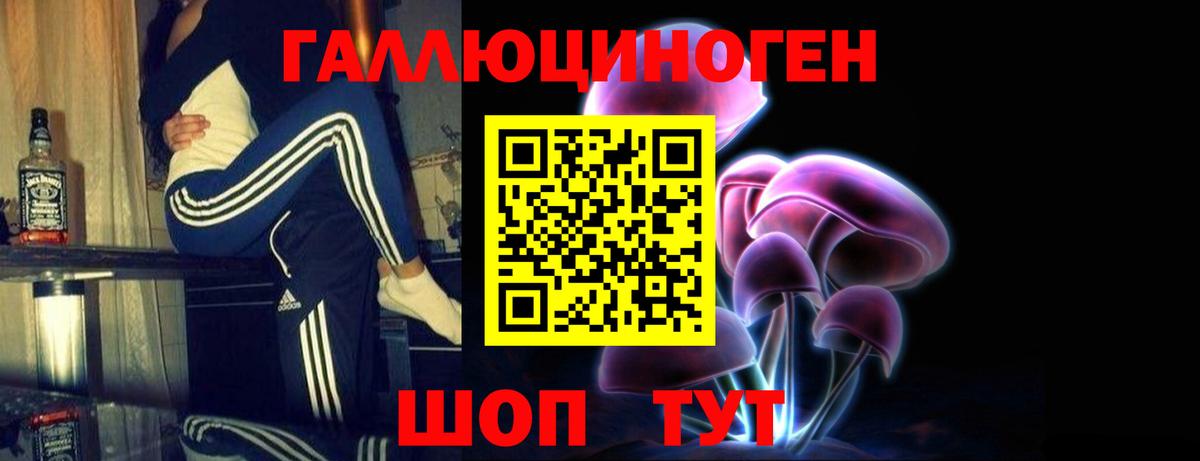 Липецк  Псилоцибиновые грибы Cubensis  где можно купить   Вход с VPN 